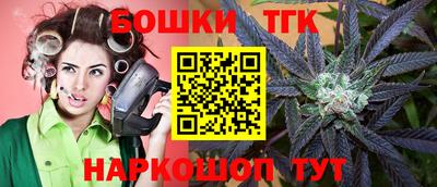 индика Ликино-Дулёво