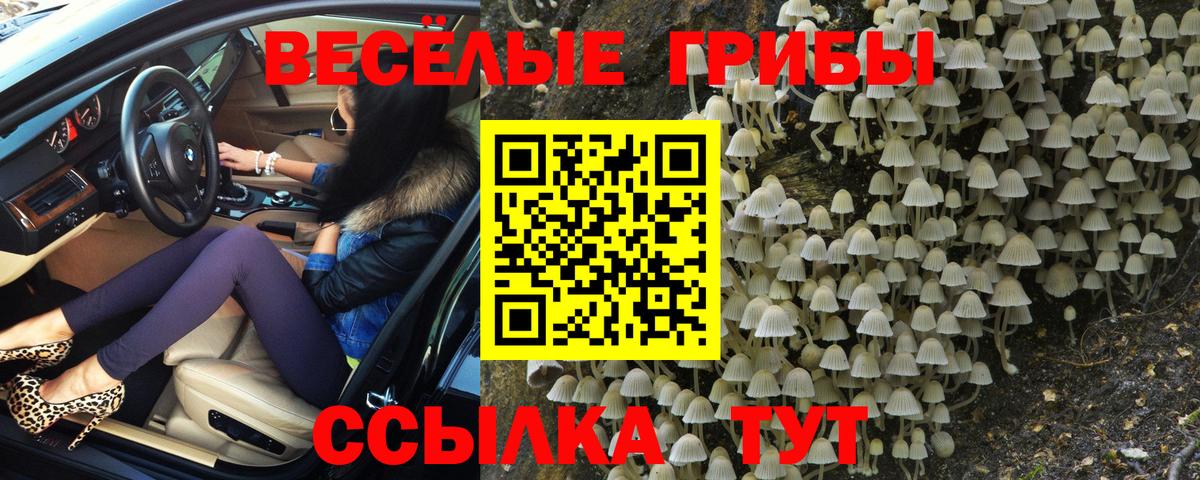 Псилоцибиновые грибы Psilocybine cubensis  Галлюциногенные грибы Magic Shrooms  Вход с VPN  Тобольск 