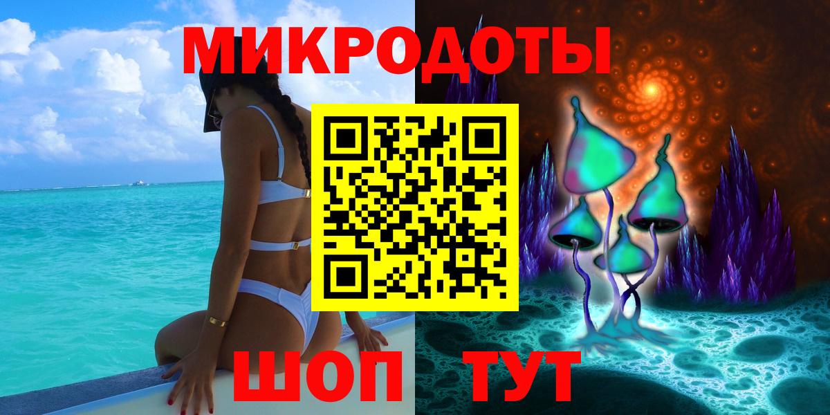 Псилоцибиновые грибы Psilocybe Тобольск